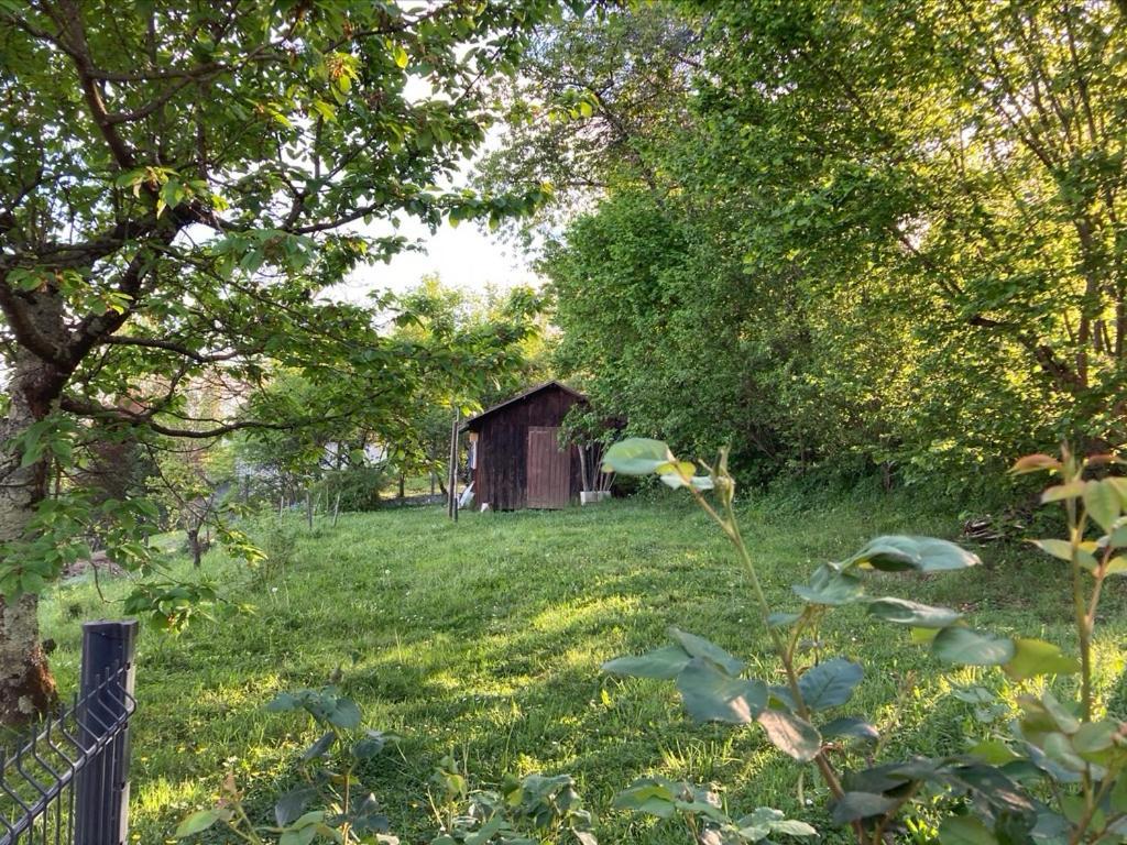Sous Le Bon Toit Bed and Breakfast Belley Buitenkant foto